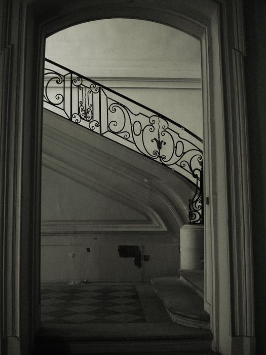 Hôtel de Sénecterre (ancien) , dit aussi de la Ferté Saint-Nectaire : Escalier d'honneur, vue partielle