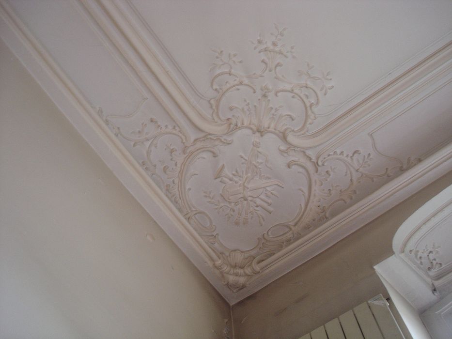 Hôtel de Sénecterre (ancien) , dit aussi de la Ferté Saint-Nectaire : Plafond, détail