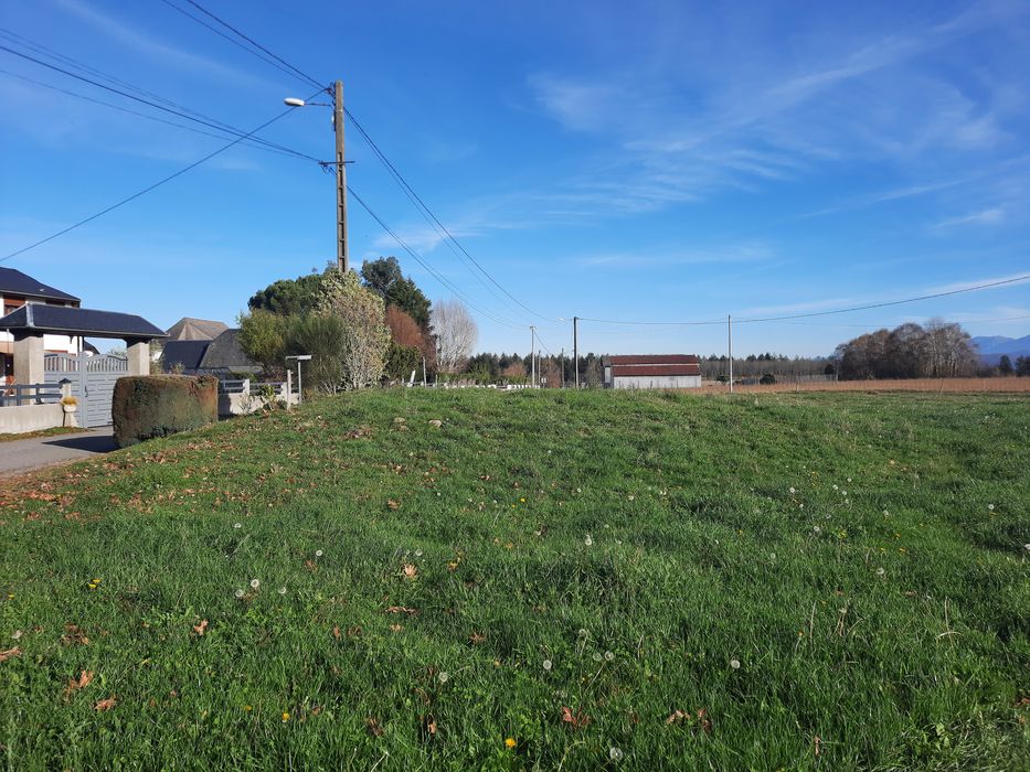 Tumulus : Vue partielle du site