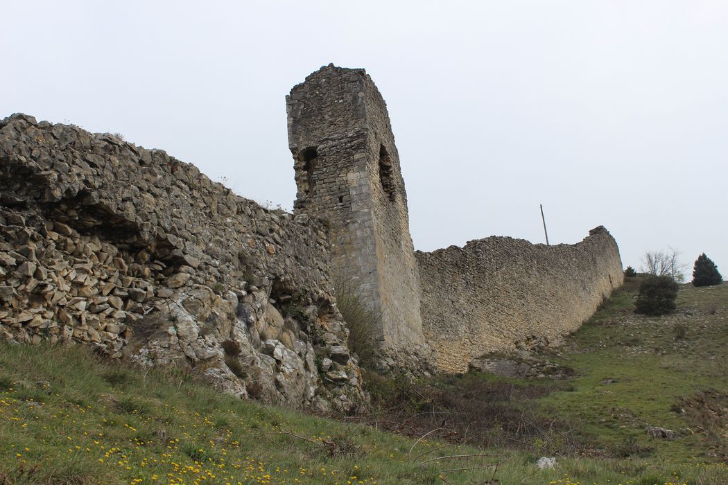 Château de Montpensier : Vue partielle des ruines 