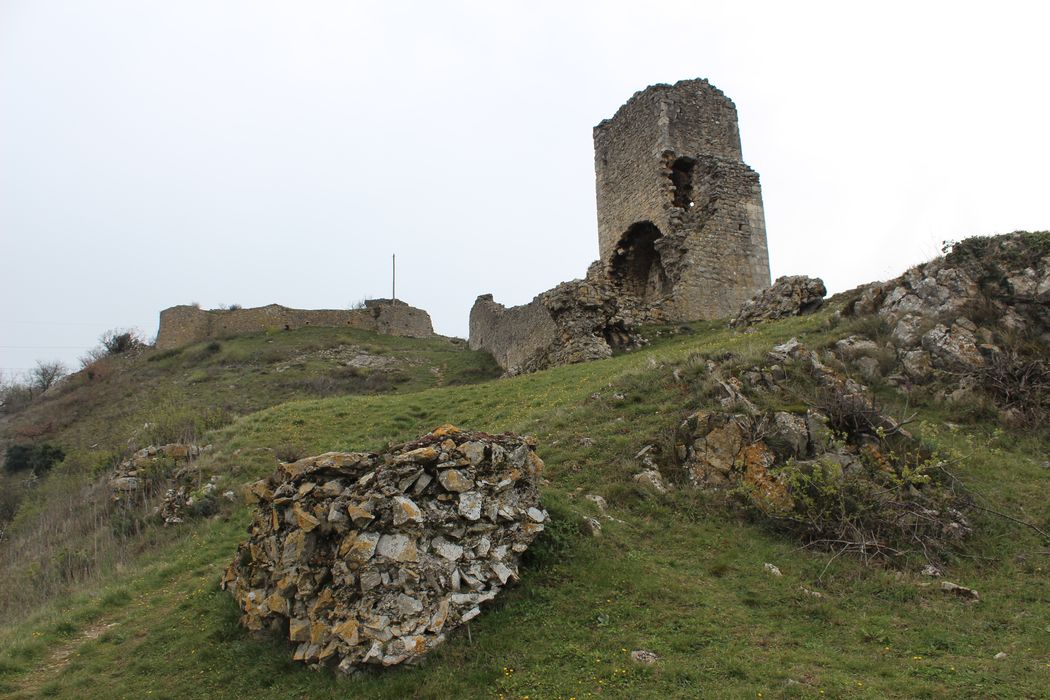 Château de Montpensier : Vue partielle des ruines dans leur environnement