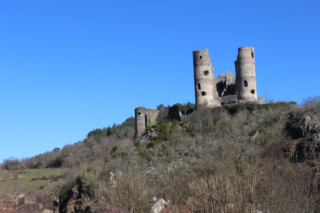 Ruines du château fort : Vue générale des ruines dans leur environnement depuis le Sud