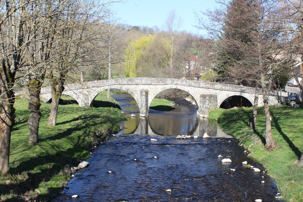 Pont sur la Sénouire, dit Pont Vieux : Vue générale du pont depuis l'aval