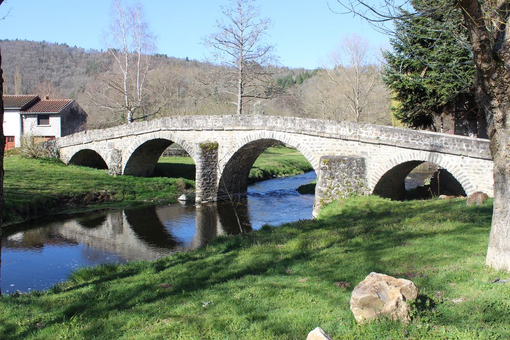 Pont sur la Sénouire, dit Pont Vieux : Vue générale du pont depuis l'aval