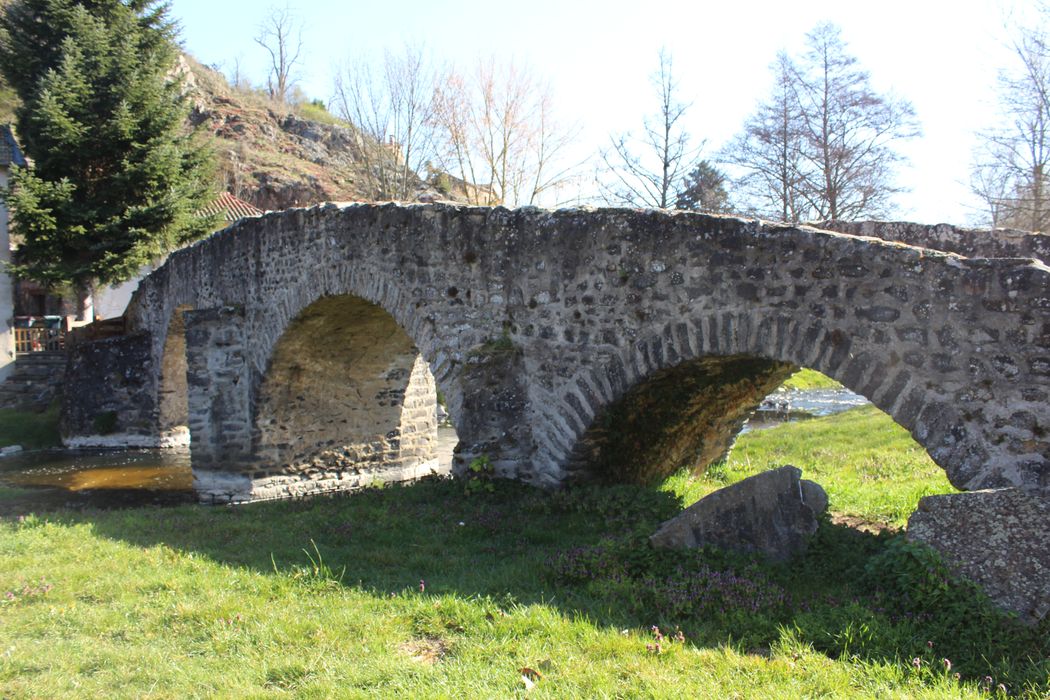 Pont sur la Sénouire, dit Pont Vieux : Vue générale du pont depuis l'amont