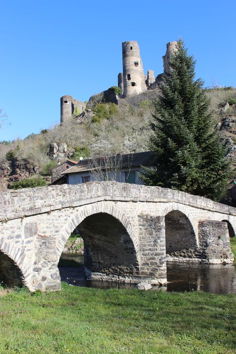 Pont sur la Sénouire, dit Pont Vieux : Vue générale du pont dans son environnement