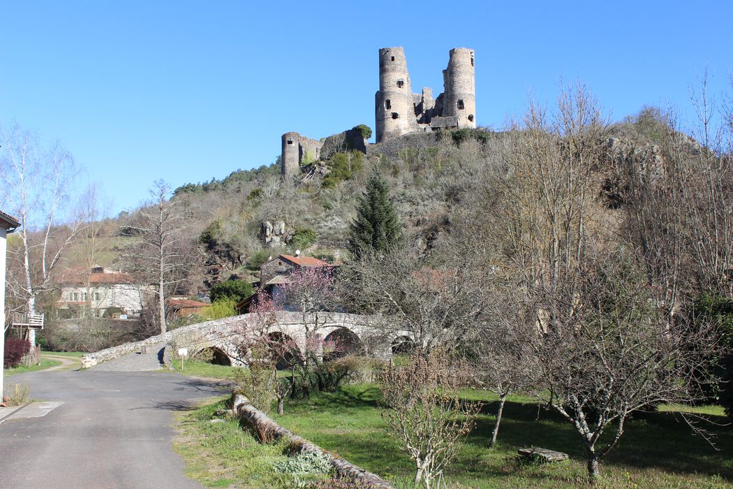 Ruines du château fort : Vue générale des ruines dans leur environnement depuis le Sud