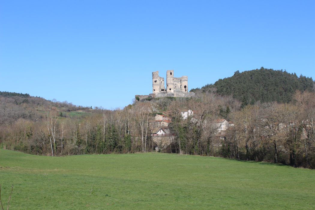 Ruines du château fort : Vue générale des ruines dans leur environnement depuis le Sud-Est