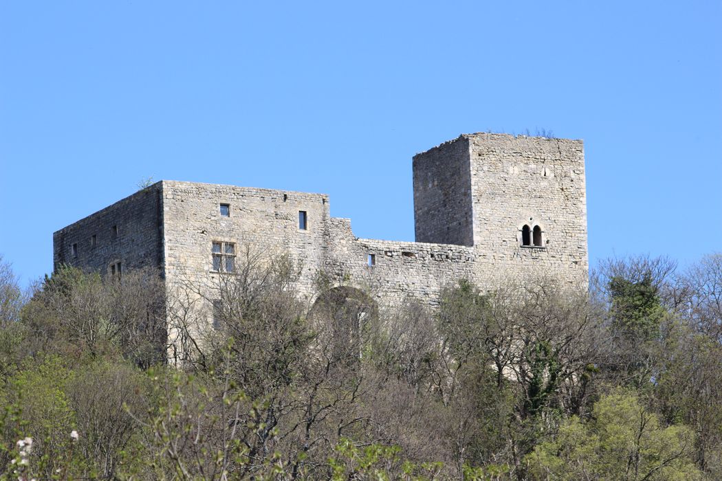 Château des Tourettes (vestiges) : Ensemble sud, vue partielle