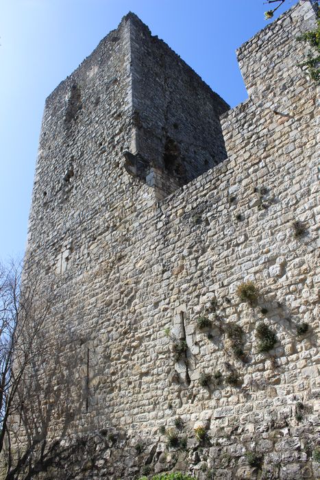 Château des Tourettes (vestiges) : Façade est, vue partielle