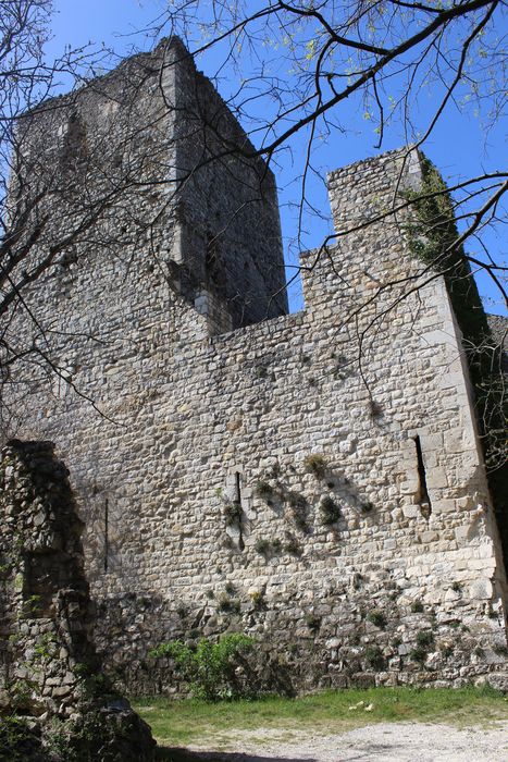 Château des Tourettes (vestiges) : Façade est, vue générale