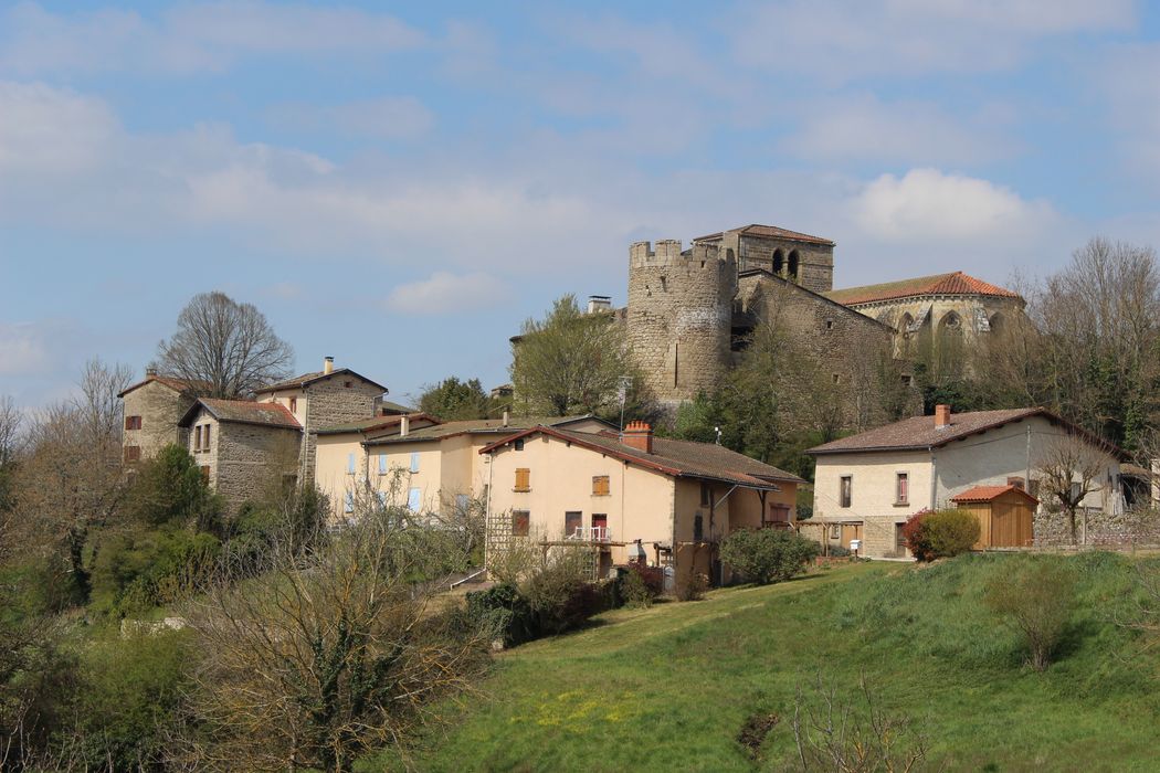 Château : Vue générale du château dans son environnement depuis l'Est