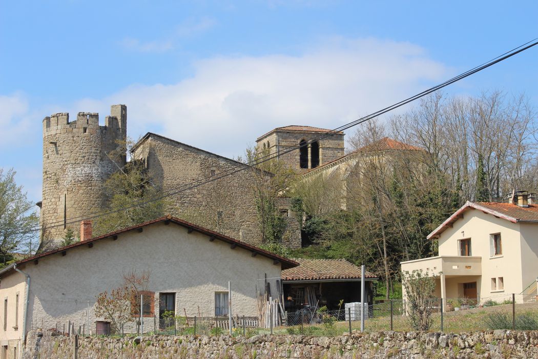 Château : Vue générale du château dans son environnement depuis l'Est