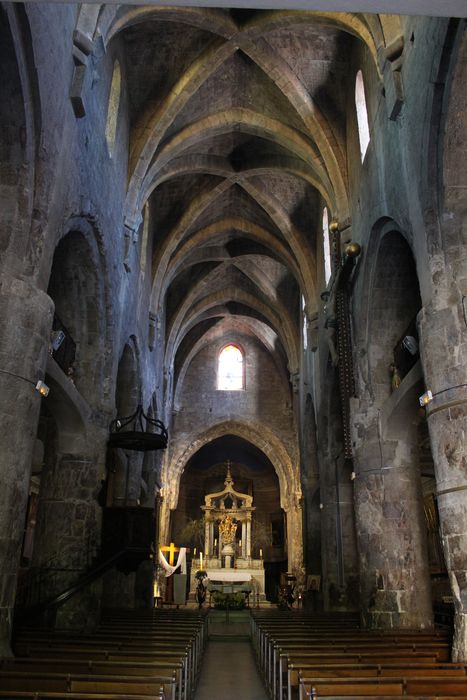 Cathédrale Notre-Dame du Puy (ancienne) : nef, vue générale