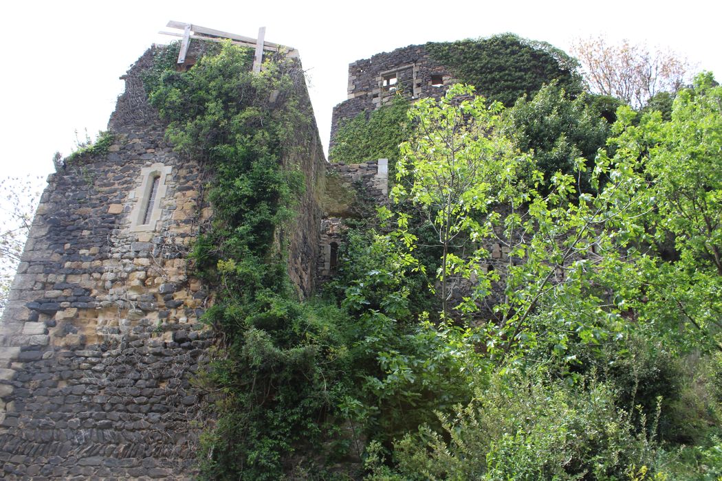 Ruines du château de Lauzières : vue partielle des ruines