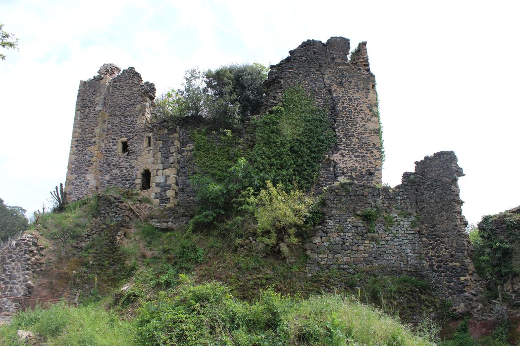 Ruines du château de Lauzières : vue partielle des ruines