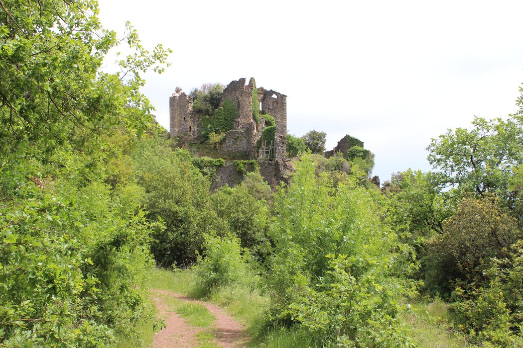 Ruines du château de Lauzières : vue générale des ruines dans leur environnement