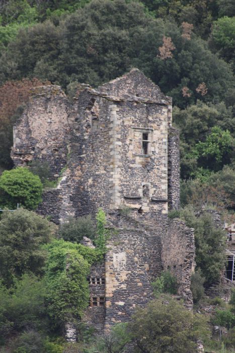 Ruines du château de Lauzières : vue partielle des ruines depuis le Sud