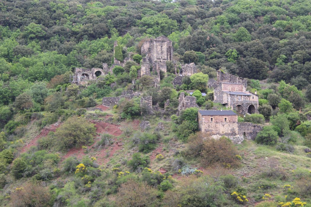 Ruines du château de Lauzières : vue générale des ruines dans leur environnement depuis le Sud