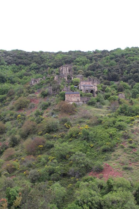 Ruines du château de Lauzières : vue générale des ruines dans leur environnement depuis le Sud