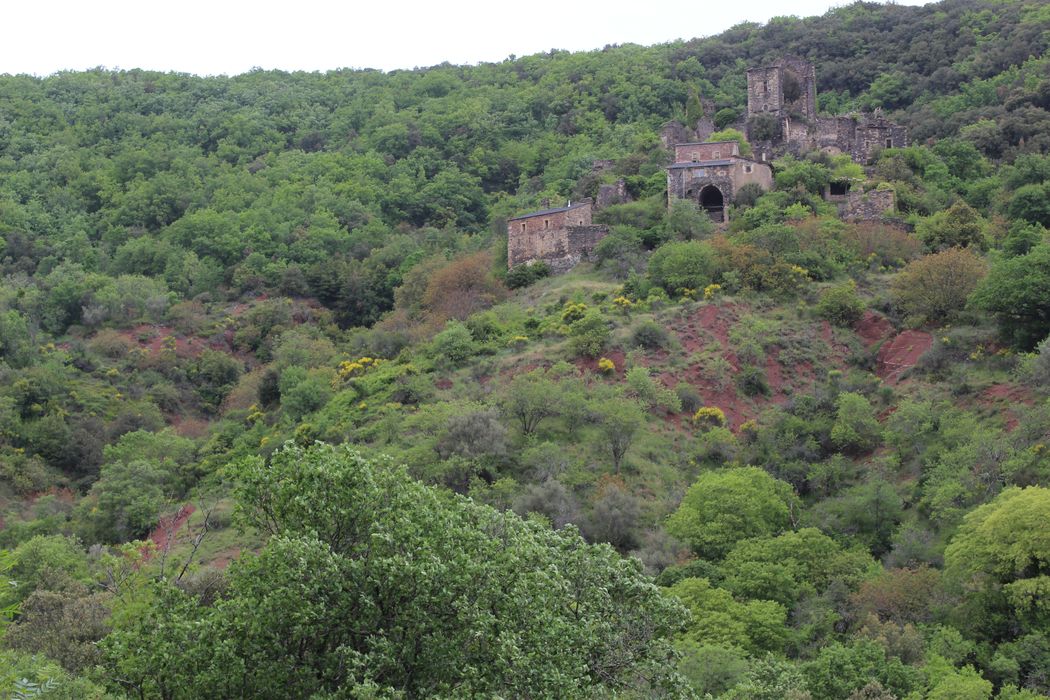 Ruines du château de Lauzières : vue générale des ruines dans leur environnement depuis le Sud-Est