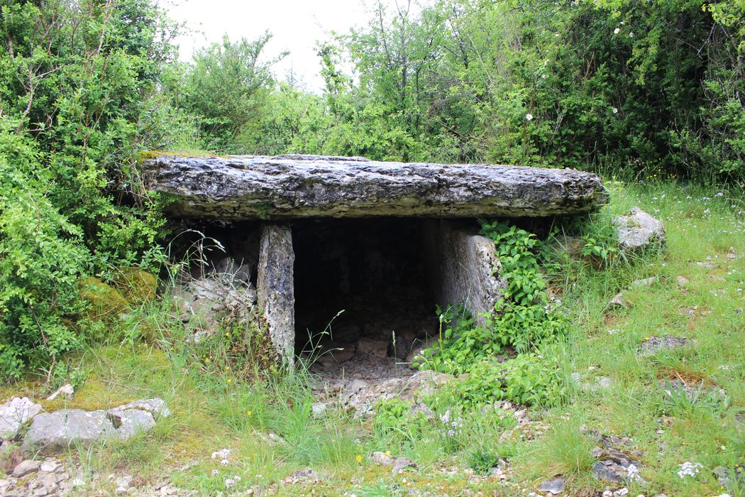 Dolmen n°1