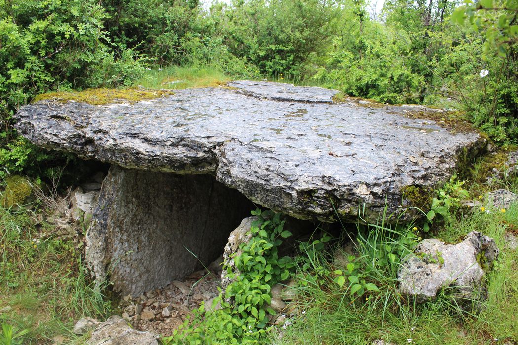Dolmen n°1