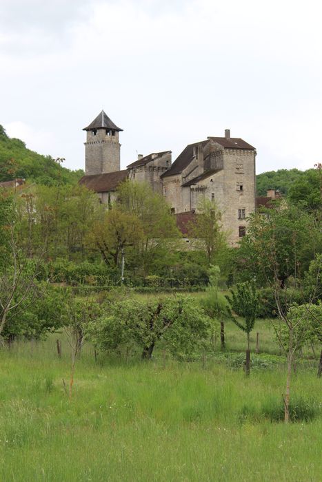 Château : vue partielle du château dans son environnement depuis le Nord-Ouest