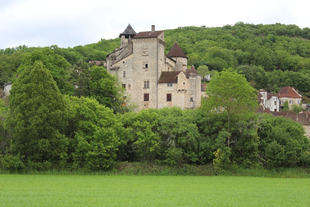 Château : vue générale du château dans son environnement depuis l'Ouest