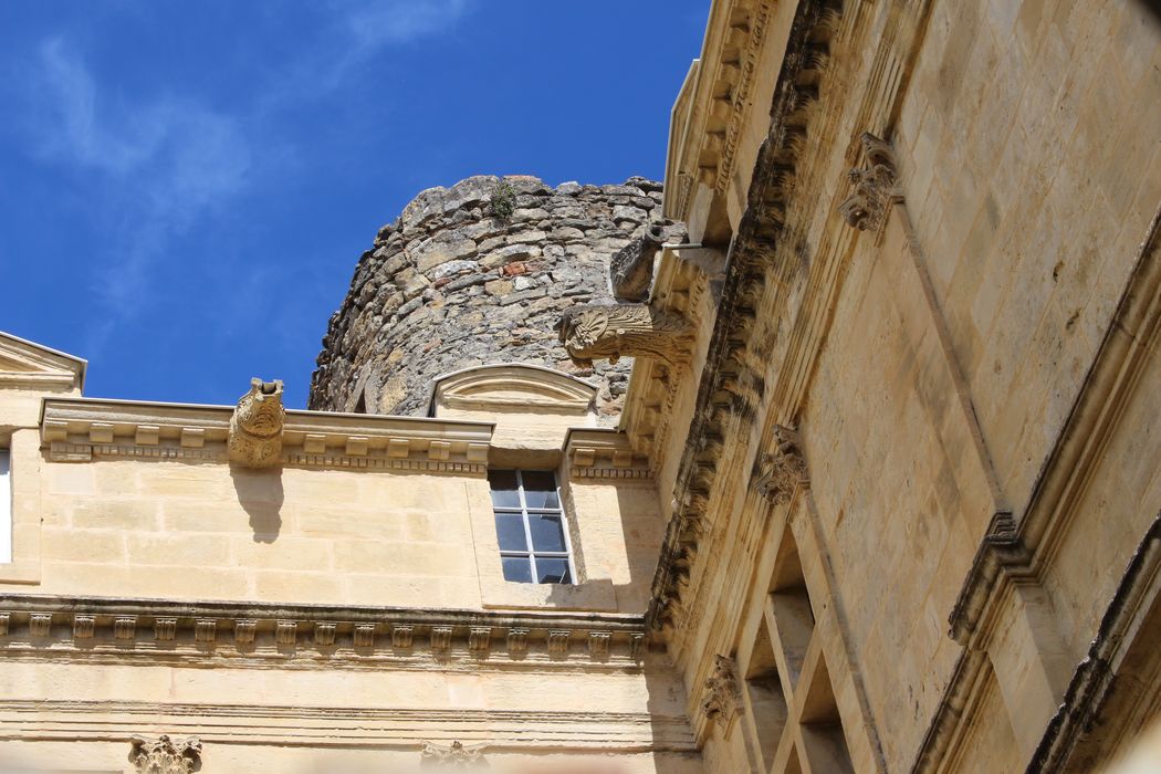 Château de la Fare : façades sud et est, détail des corniches et des gargouilles