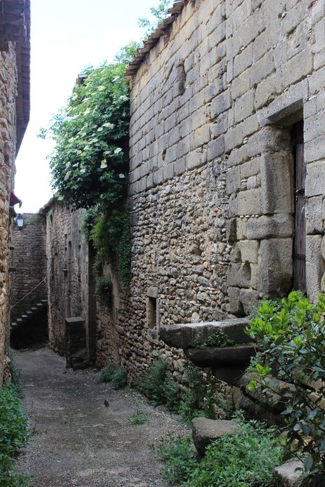 Fort : maisons situées à l'intérieur du fort, façades est, vue générale