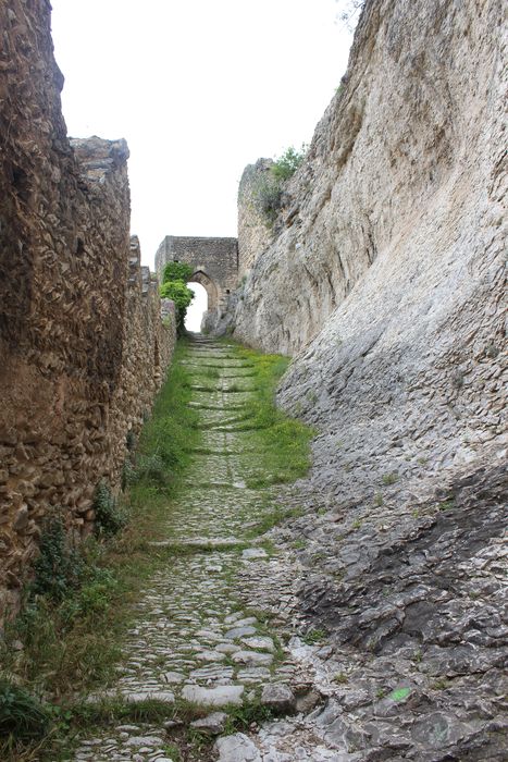 Château (ruines du) : rampe d’accès nord-sud, vue générale