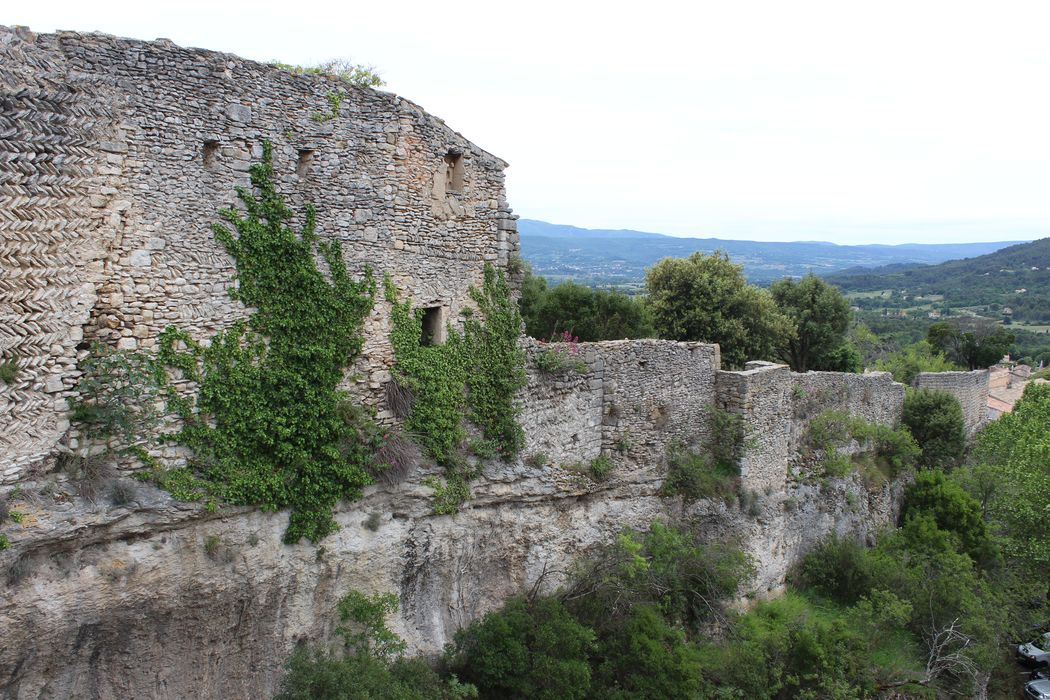 Château (ruines du) : remparts ouest, vue générale