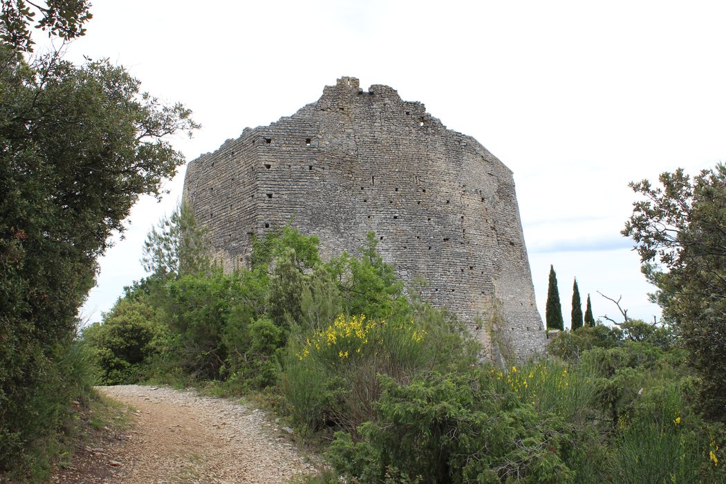 Château (ruines du) : ensemble nord, vue générale