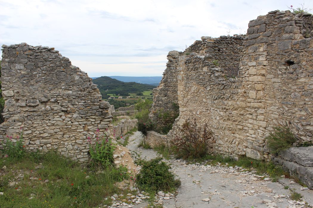 Château (ruines du) : vue partielle des ruines de l’ancien village