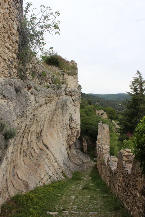 Château (ruines du) : rampe d’accès nord-sud, vue générale