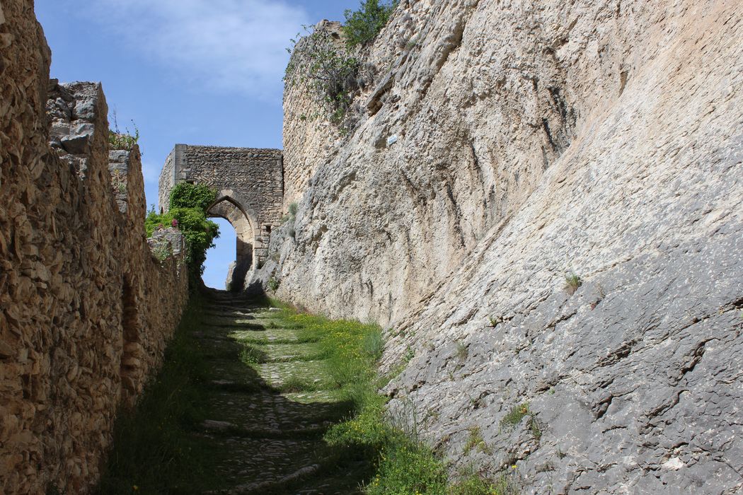 Château (ruines du) : rampe d’accès nord-sud, vue générale