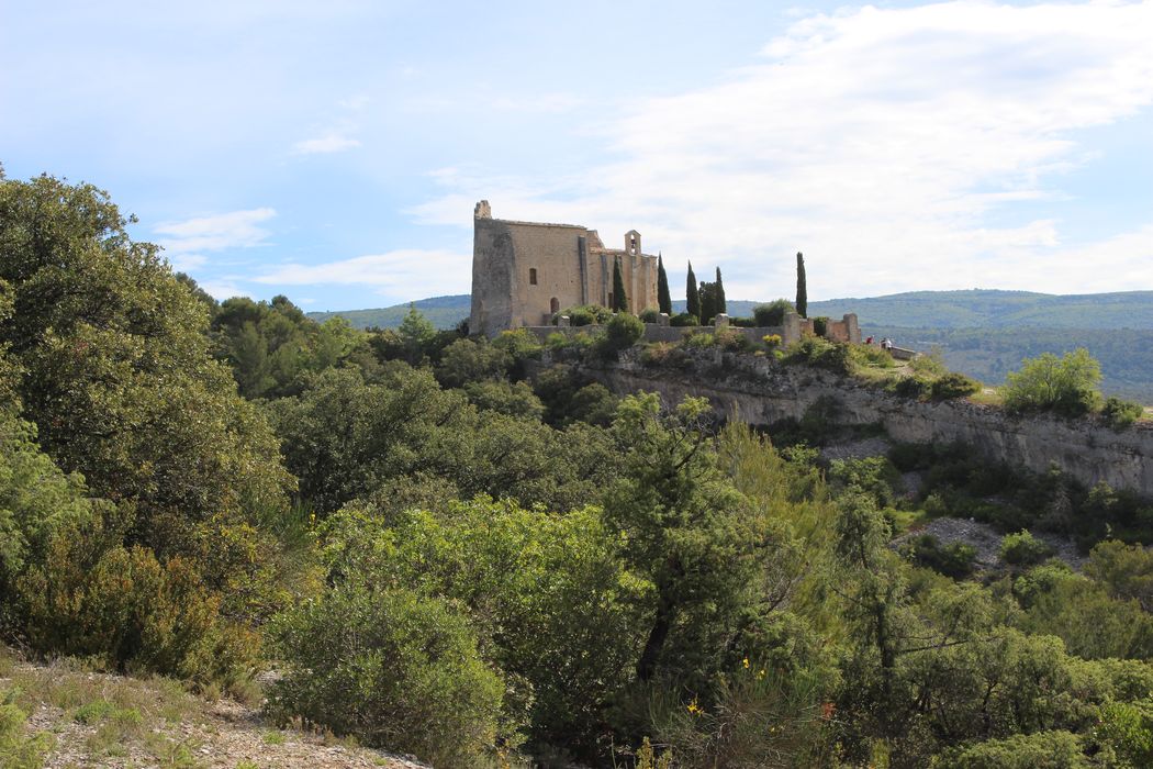 Château (ruines du) : vue partielle du site dans son environnement depuis le Sud-Est