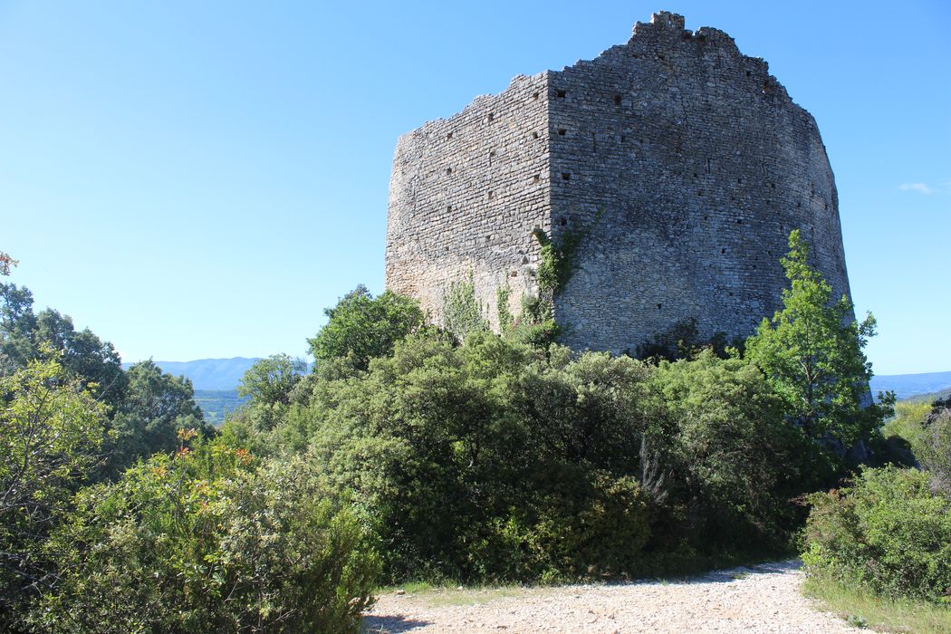 Château (ruines du) : ensemble nord-est, vue générale