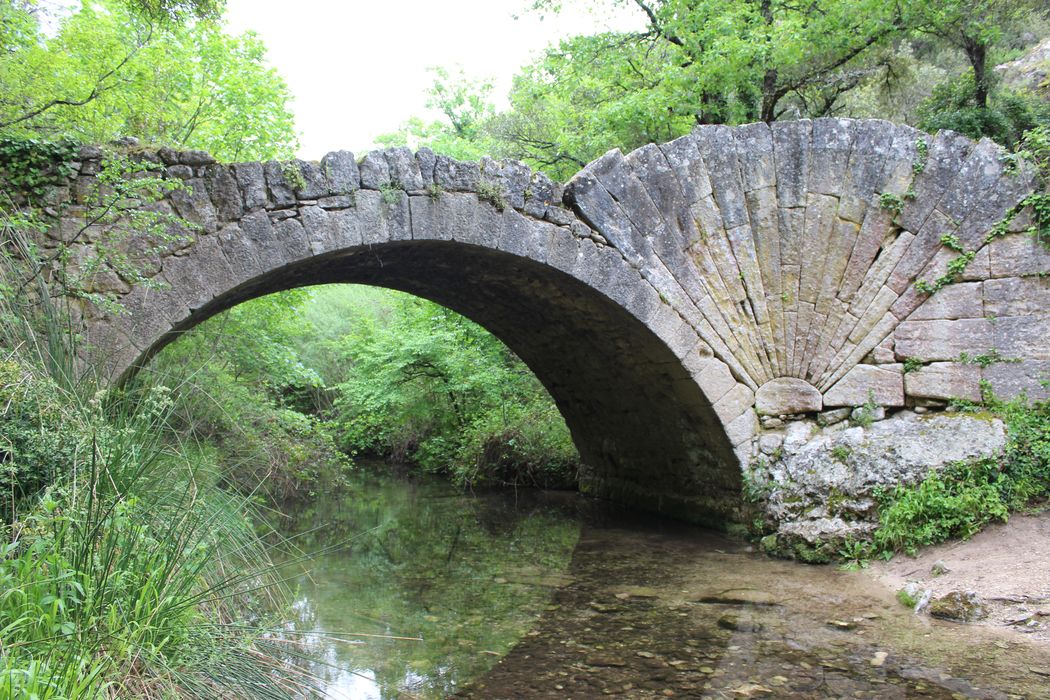 Pont à coquille franchissant l'Aigue-Brun : élévation en aval, vue générale