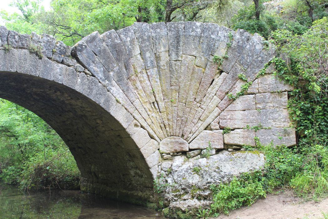 Pont à coquille franchissant l'Aigue-Brun : élévation en aval, vue partielle