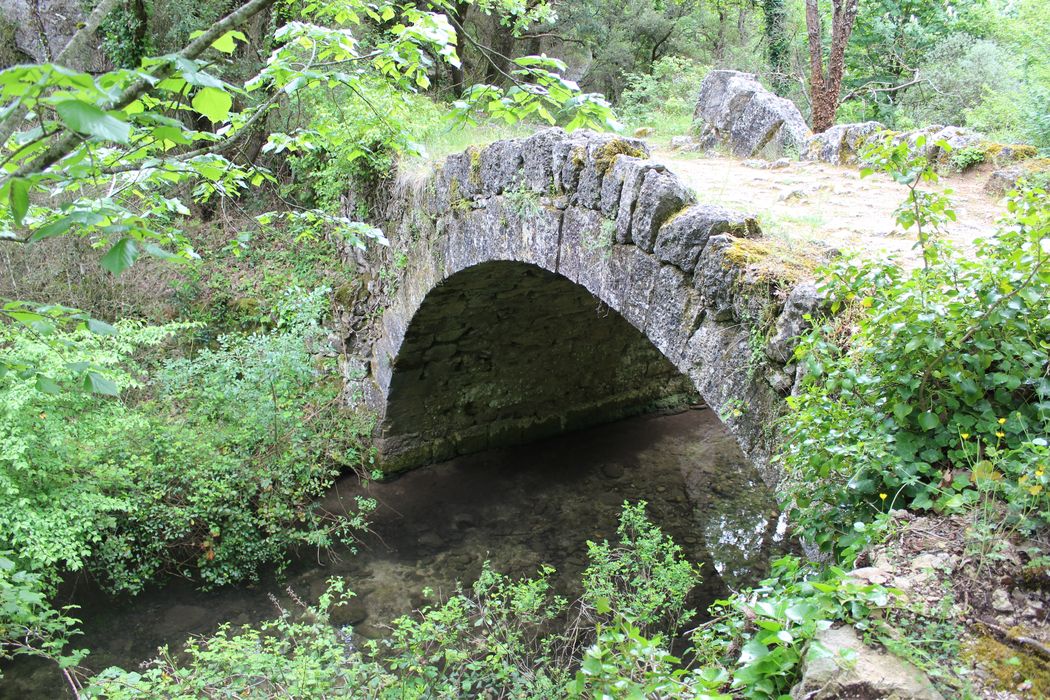 Pont à coquille franchissant l'Aigue-Brun : élévation en aval, vue partielle