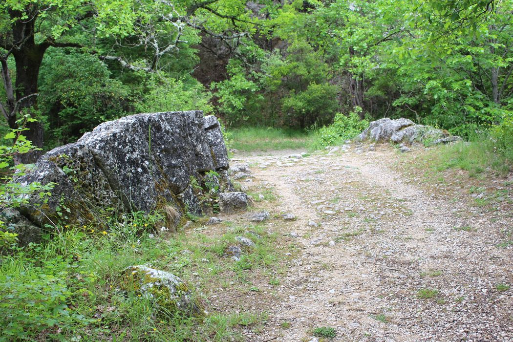 Pont à coquille franchissant l'Aigue-Brun : vue partielle du parapet