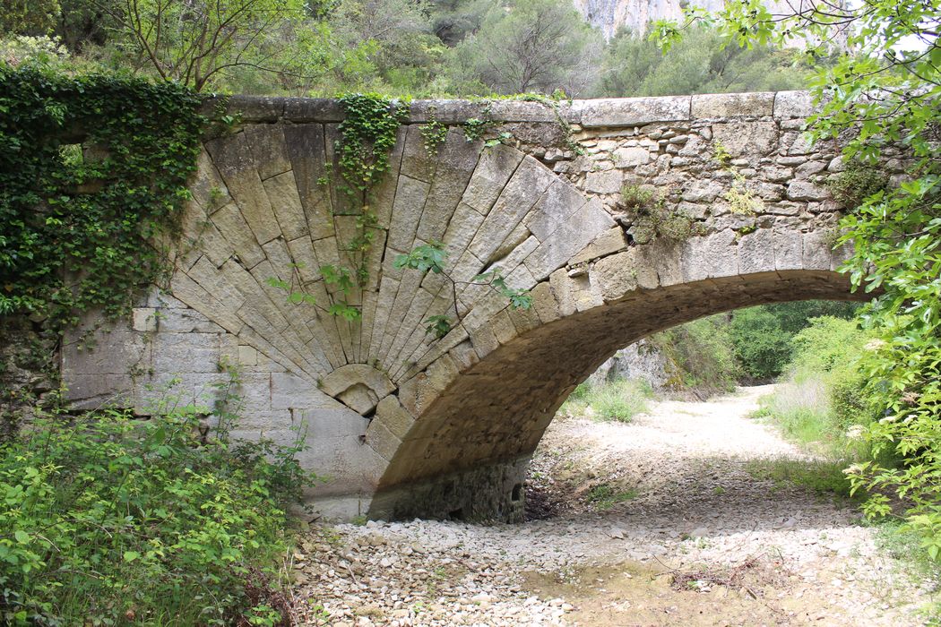 Pont à coquille franchissant l'Aigue-Brun : élévation en aval, vue générale