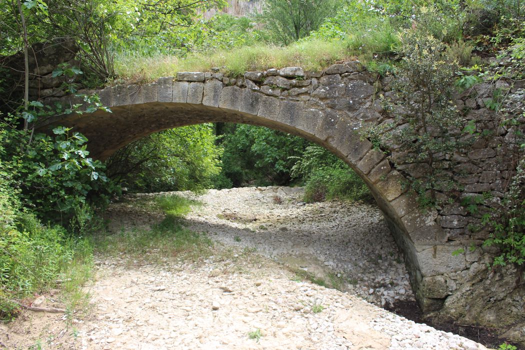 Pont à coquille franchissant l'Aigue-Brun : élévation en amont, vue générale