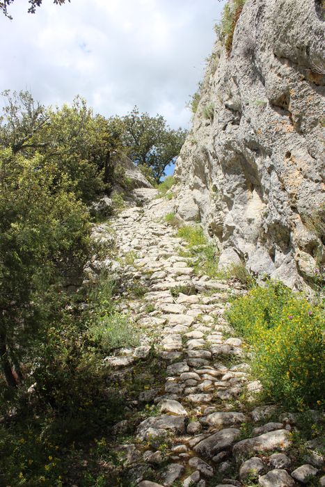 Fort (vestiges du) : rampe d’accès est-ouest, vue partielle