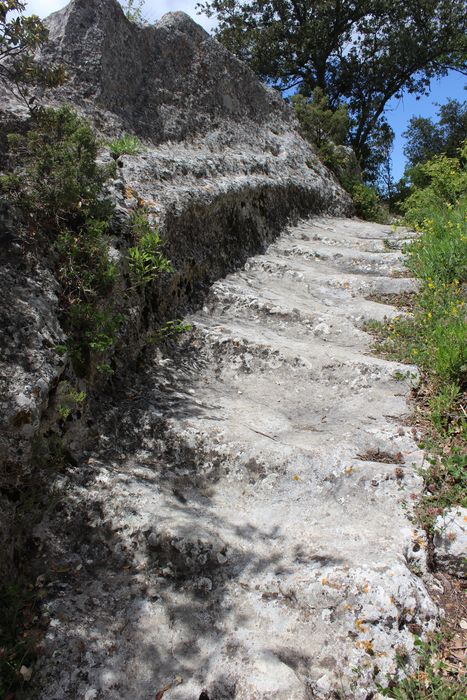 Fort (vestiges du) : rampe d’accès (enmarchement) est-ouest, vue partielle