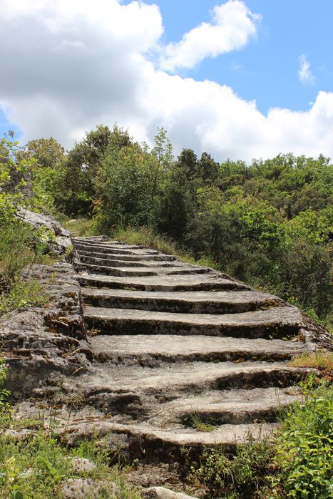 Fort (vestiges du) : rampe d’accès (enmarchement) nord-sud, vue partielle