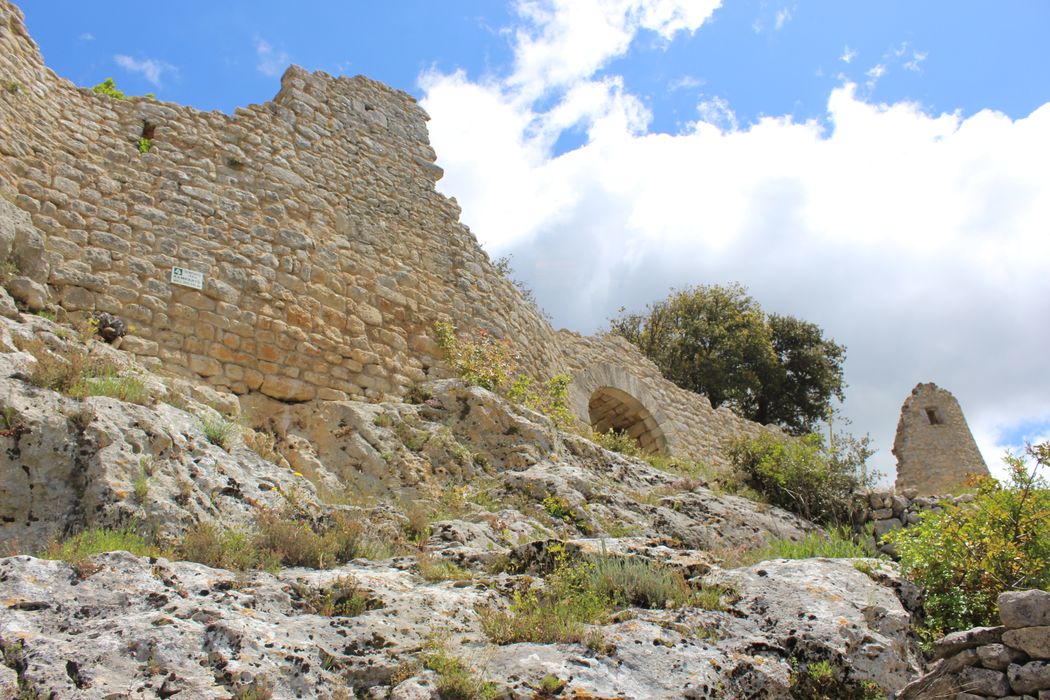 Fort (vestiges du) : remparts, élévation ouest, vue partielle