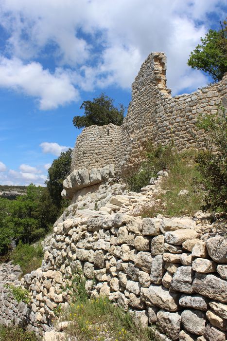 Fort (vestiges du) : remparts, élévation ouest, vue partielle